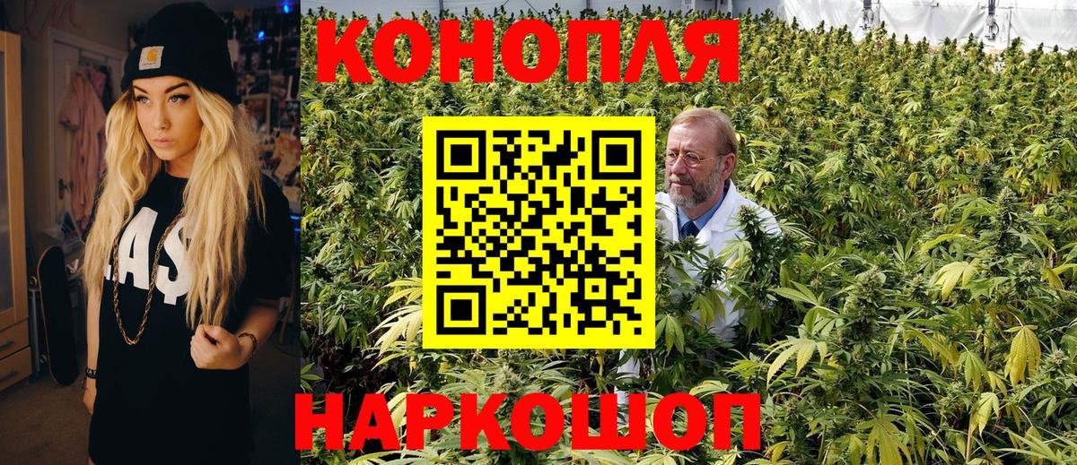 Бошки Шишки ГИДРОПОН Бутурлиновка